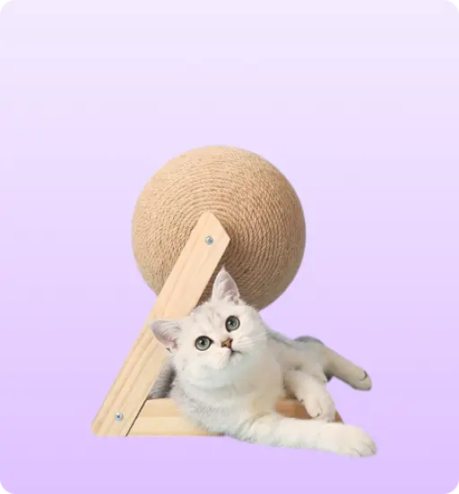 cat toy