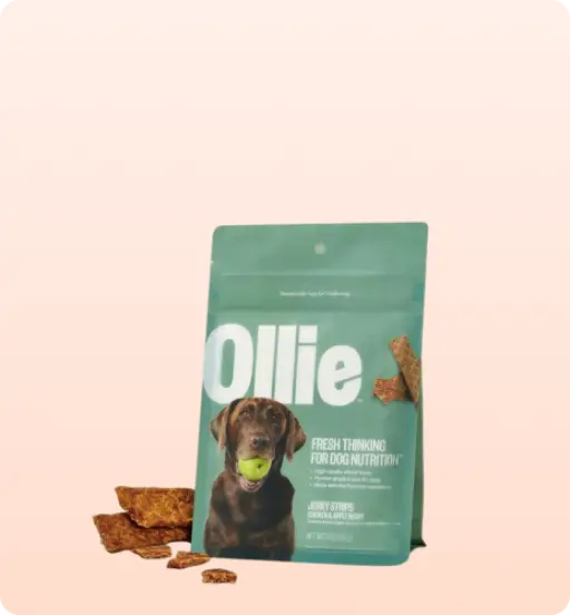 dog food