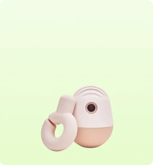 dog toys